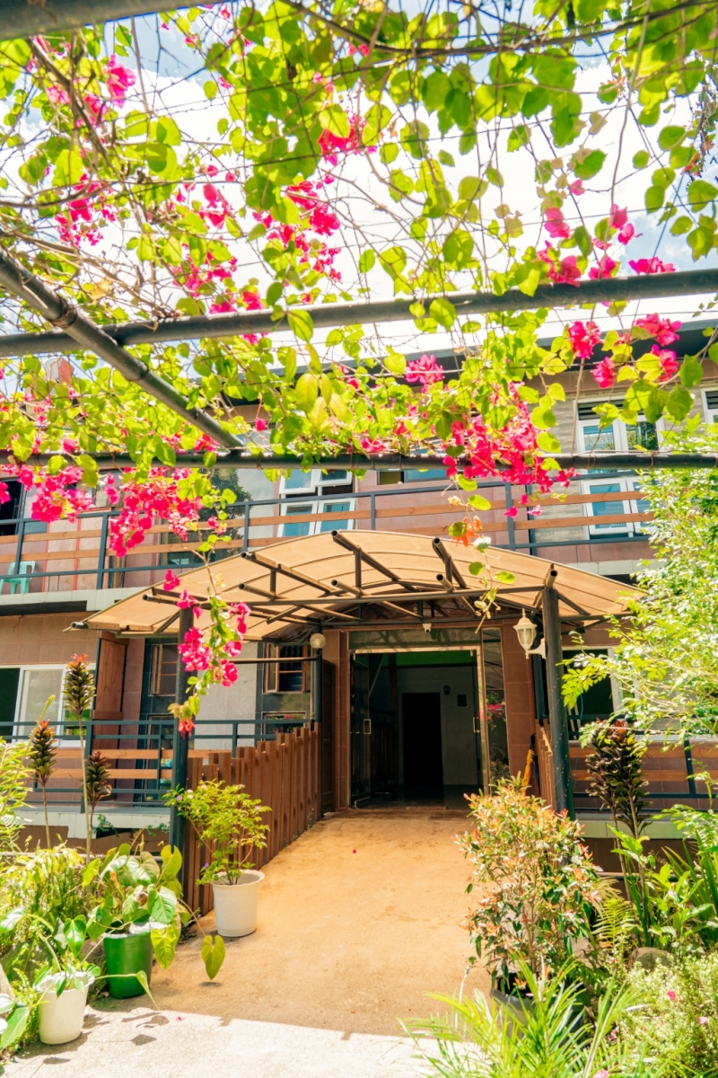 フィリピン留学 Cebu21 - Baguio JIC Premium campus-Garden - ETC-6